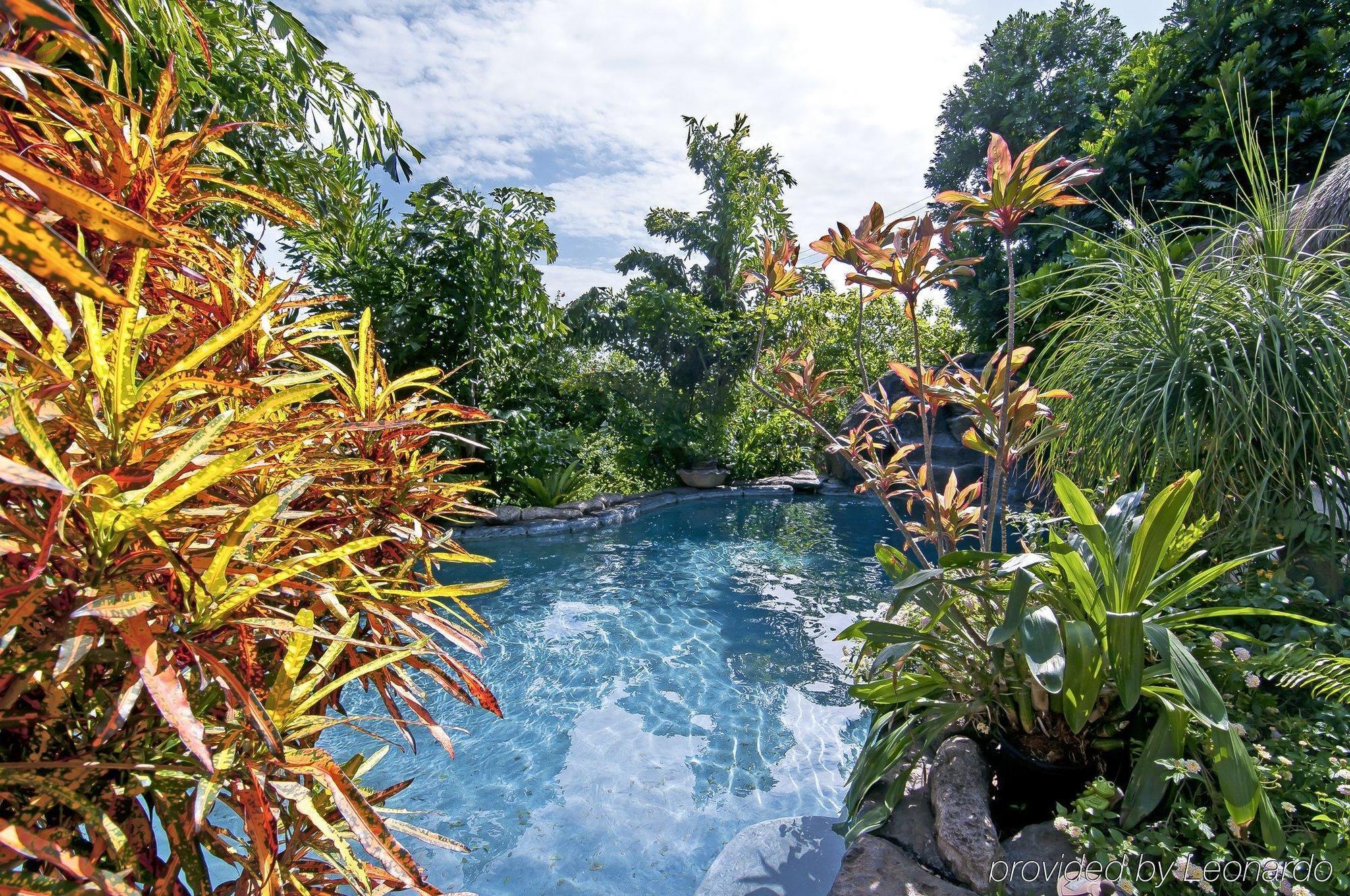 Manoa Valley Inn Honolulu Ngoại thất bức ảnh
